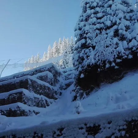 In Complex Grand Manastira * Pamporovo