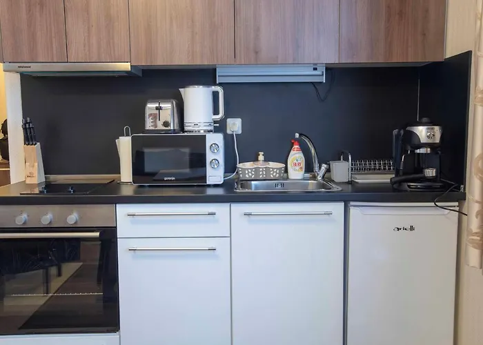 In Complex Grand Manastira Pamporovo