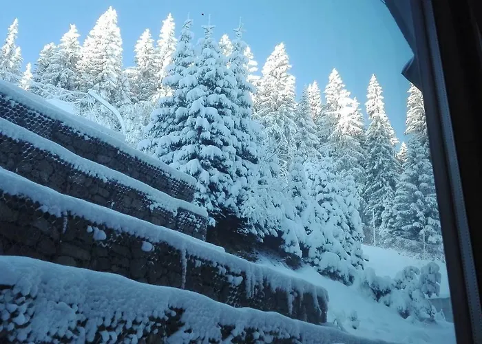 In Complex Grand Manastira *