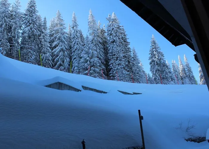 In Complex Grand Manastira Pamporovo